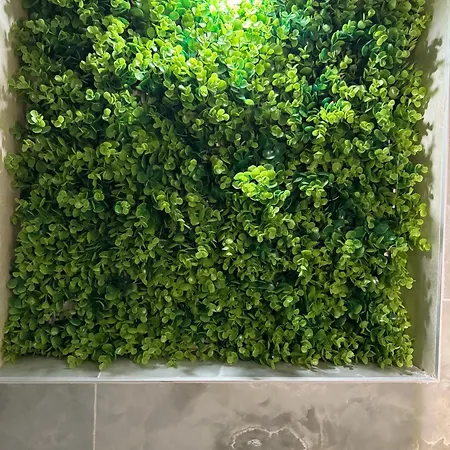 Apartment Boomboom